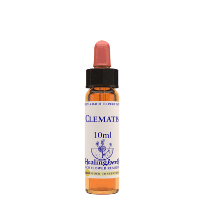 Clematis 10ml