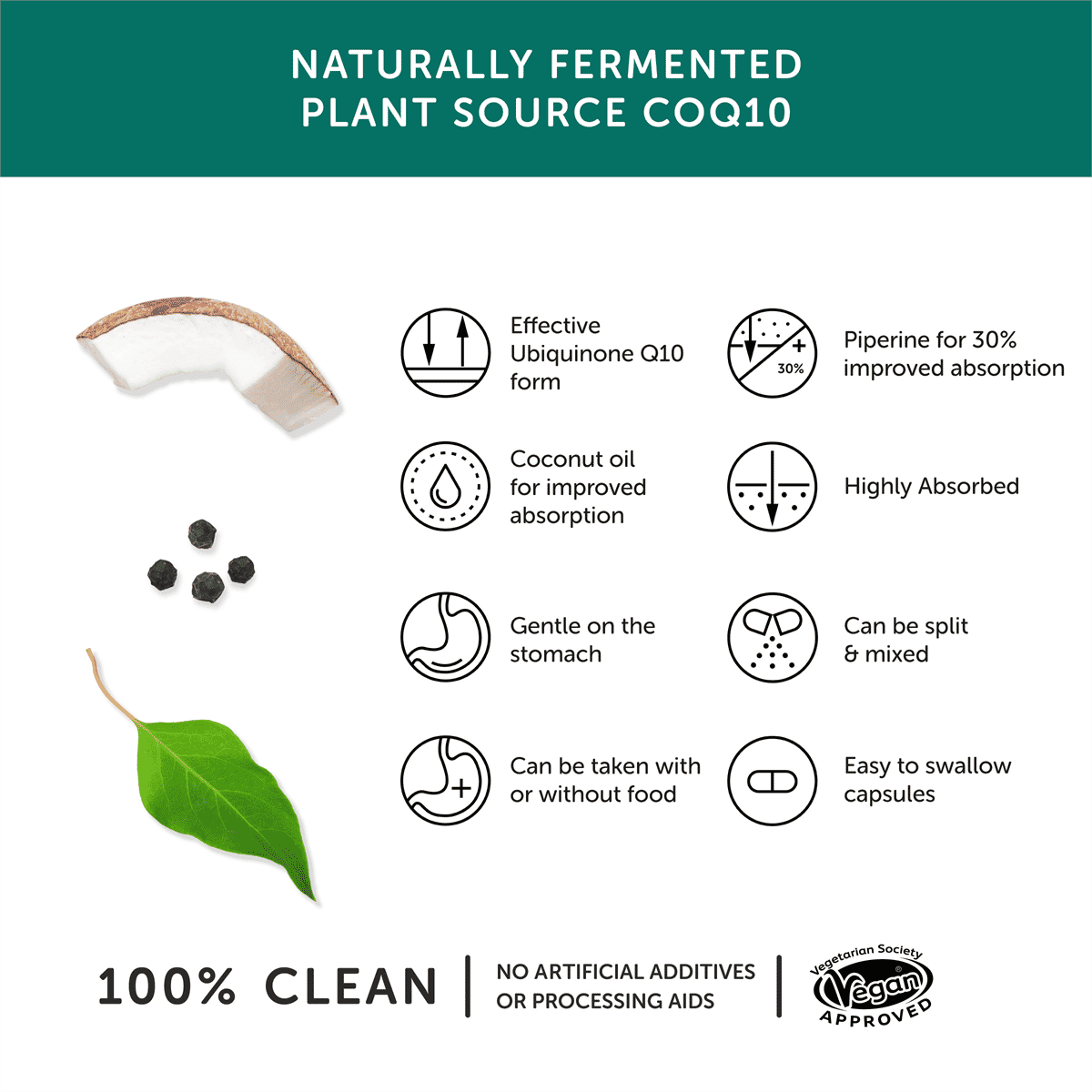 CoEnzyme Q10 Natural Fermented Plant Source 30s