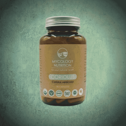 Coriolus (Coriolus versicolor) 90s