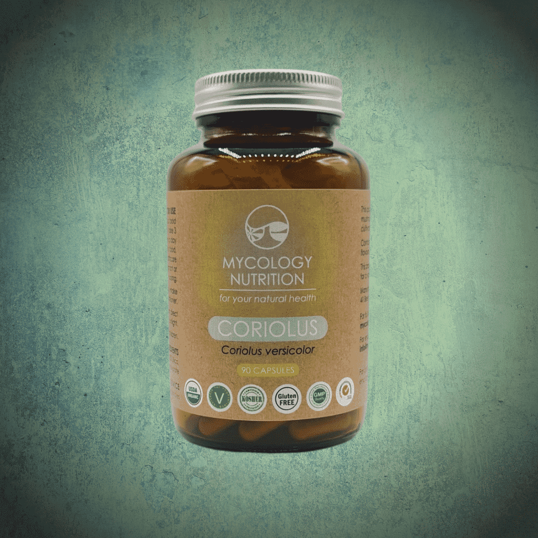 Coriolus (Coriolus versicolor) 90s