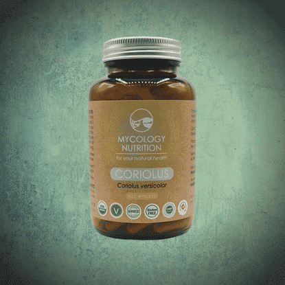 Coriolus (Coriolus versicolor) 90s