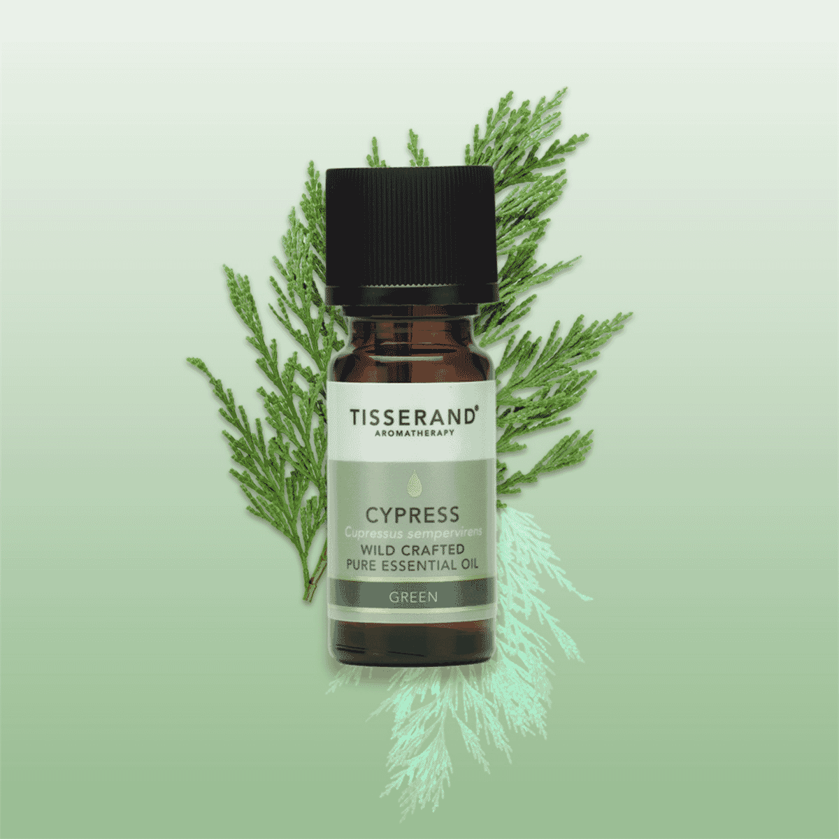 Cypress Wild Crafted Pure Essential Oil 9ml