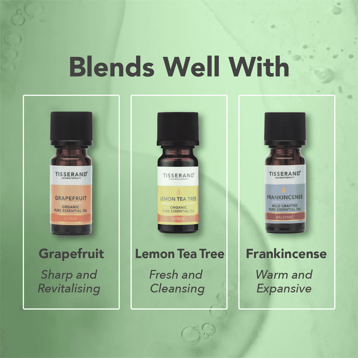 Cypress Wild Crafted Pure Essential Oil 9ml