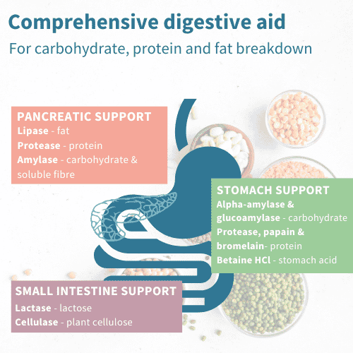 Digestive Enzymes & Betaine HCl 90s
