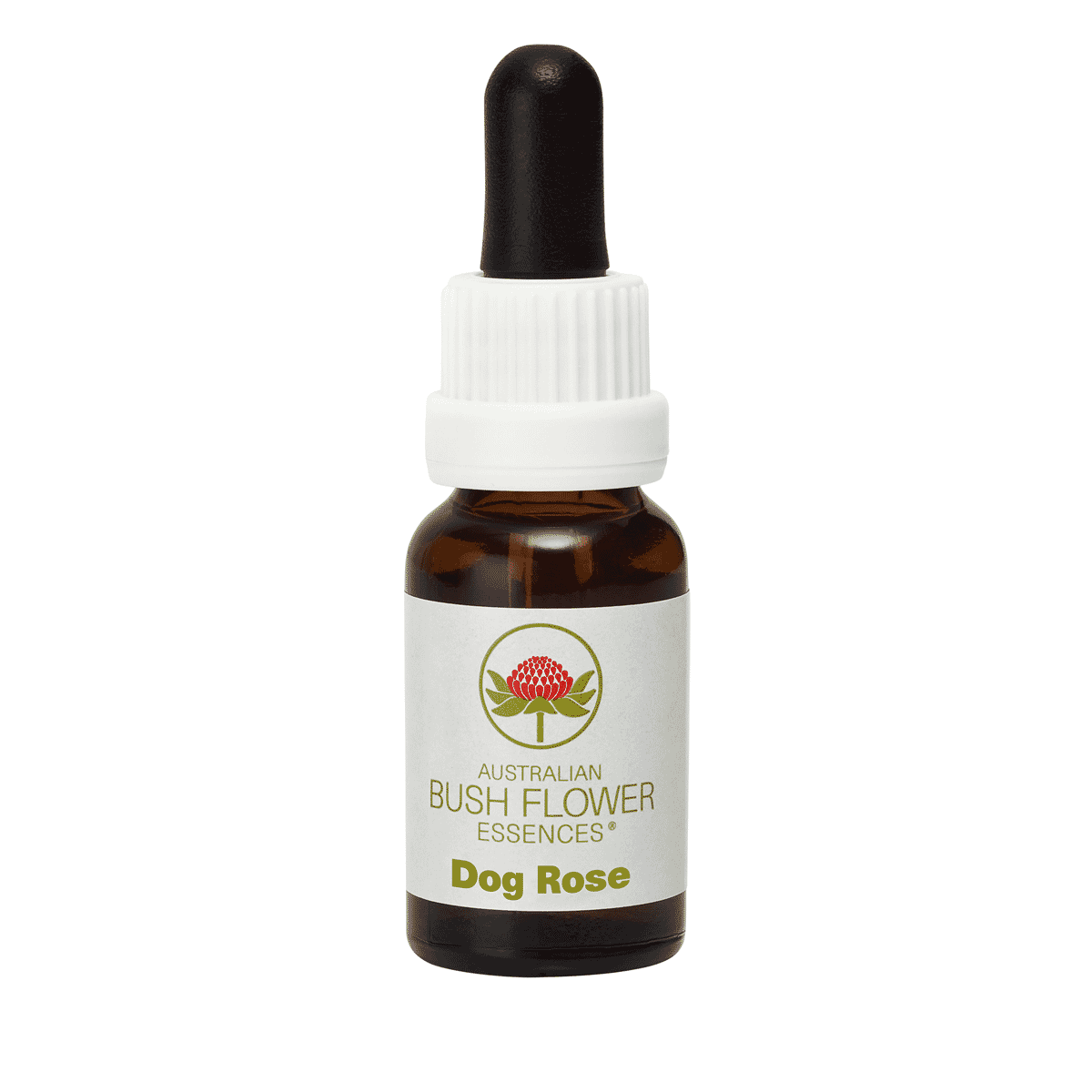 Dog Rose (Stock Bottle) 15ml