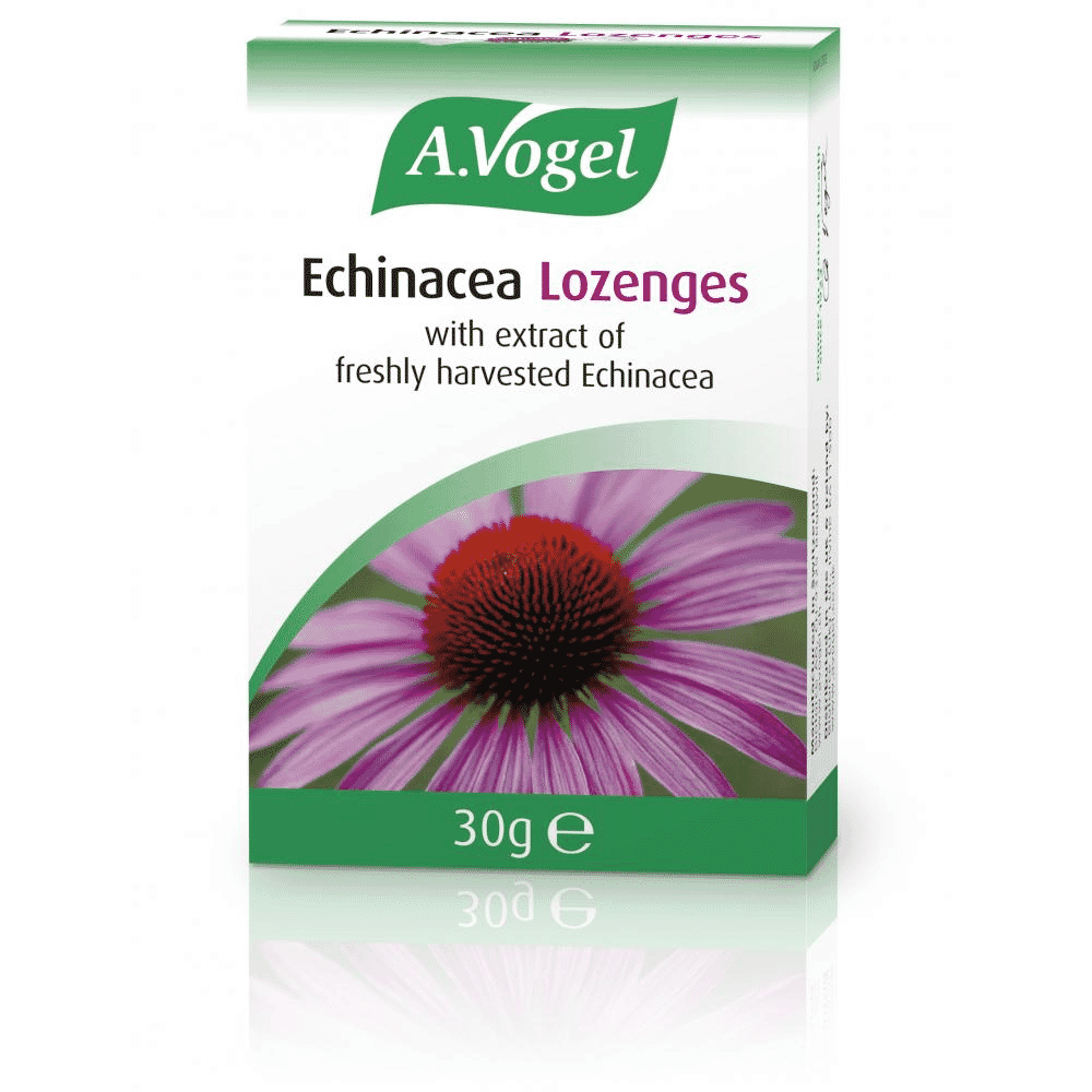 Echinacea Blackcurrant Flavour Lozenges 40g