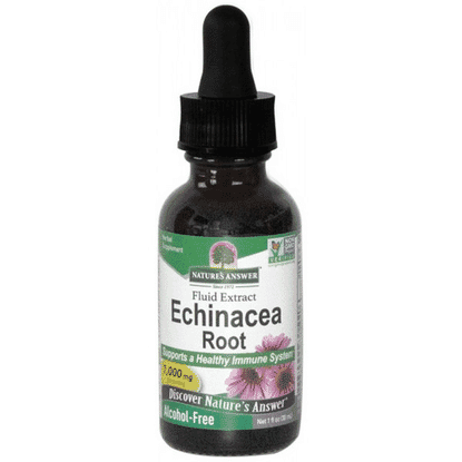 Echinacea Root (Alcohol-Free) 30ml