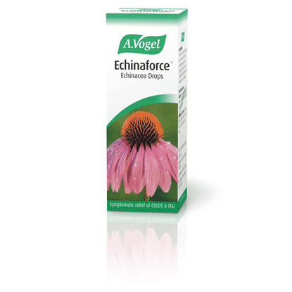 Echinaforce Echinacea Drops 100ml