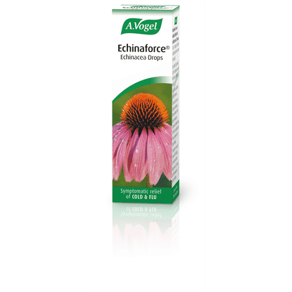 Echinaforce Echinacea Drops 15ml