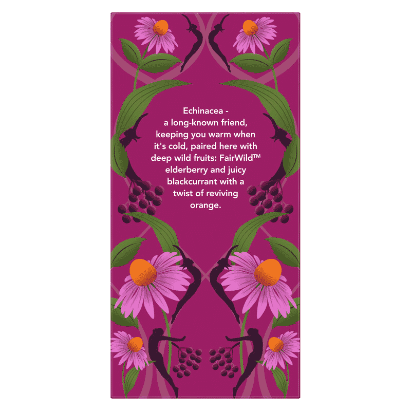 Elderberry & Echinacea Organic Herbal Tea 20 Sachets