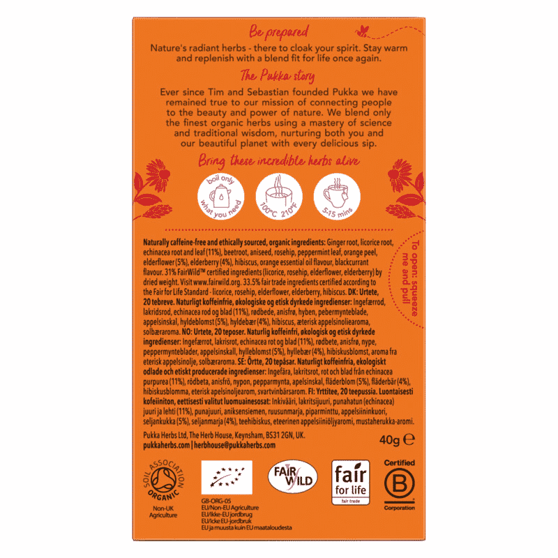 Elderberry & Echinacea Organic Herbal Tea 20 Sachets