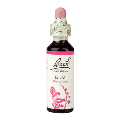 Elm 20ml