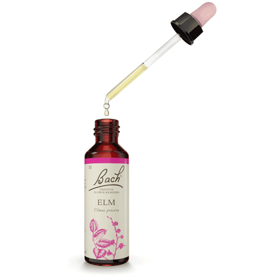 Elm 20ml