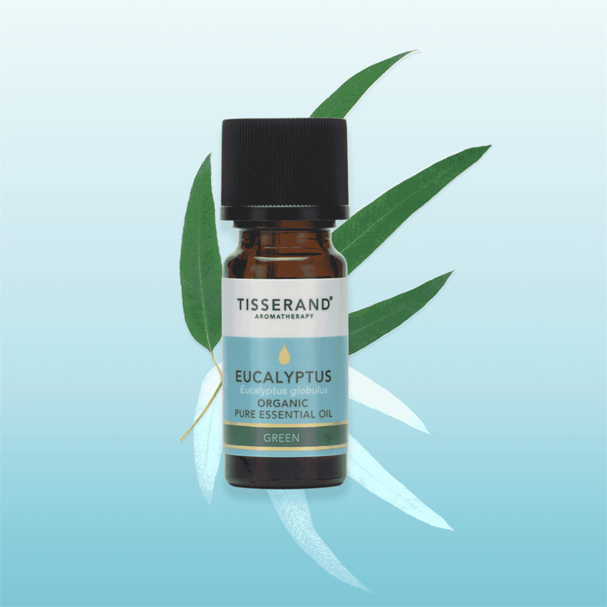 Eucalyptus Organic Pure Essential Oil 9ml