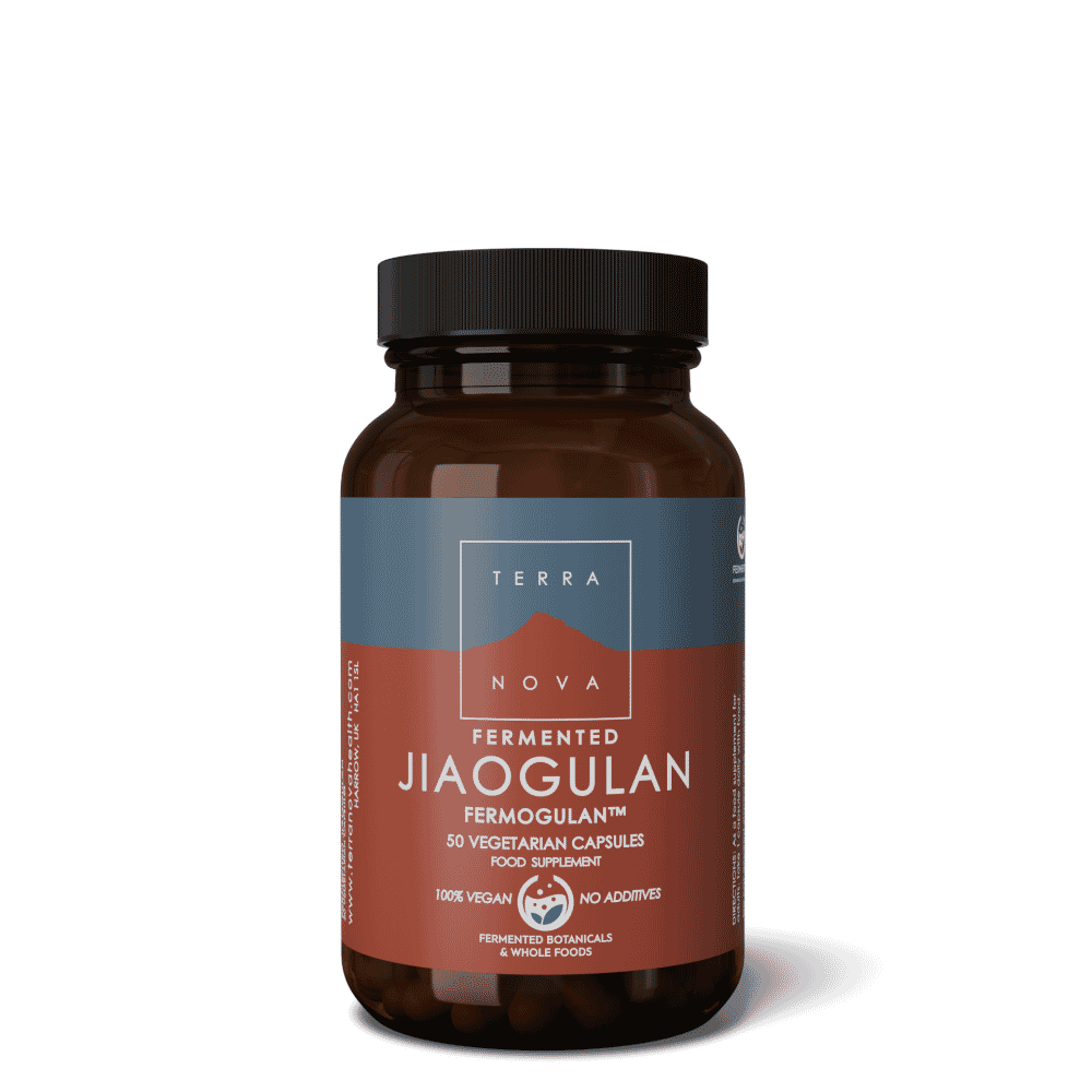 Fermented Jiaogulan 50s