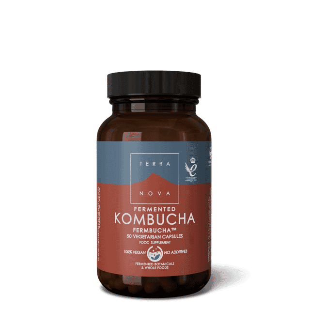 Fermented Kombucha 50s