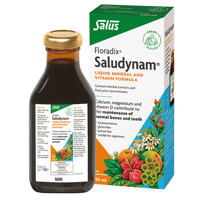 Floradix Saludynam 250ml