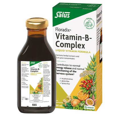 Floradix Vitamin-B Complex Liquid Vitamin Formula 250ml