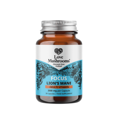 Focus Lion's Mane + Multivitamin 30s