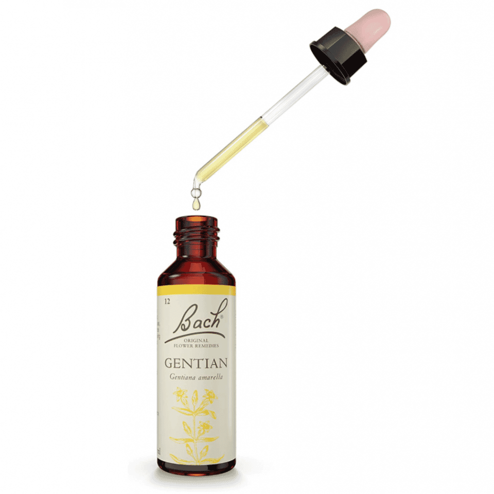 Gentian 20ml