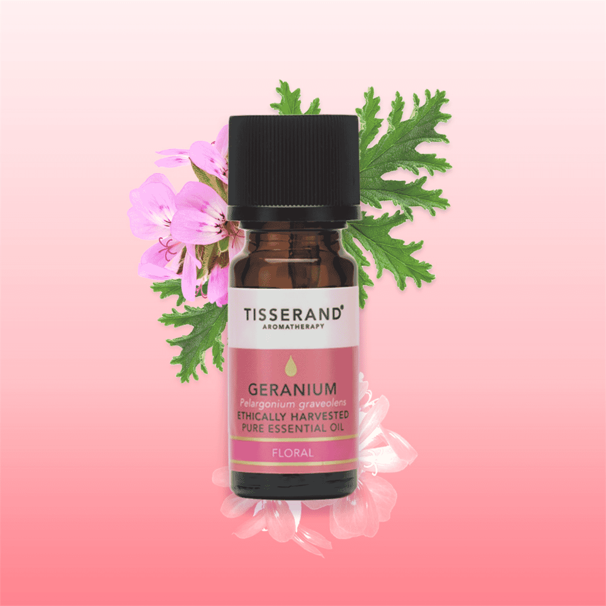 Geranium Ethically Harvested Pure Essential Oil 9ml