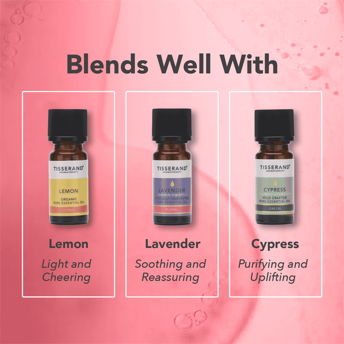 Geranium Ethically Harvested Pure Essential Oil 9ml