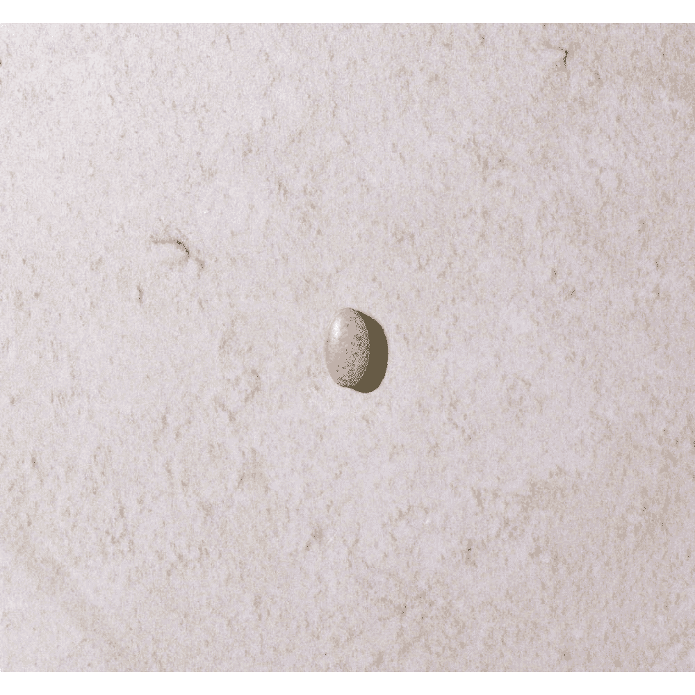 Glucosamine HCL Complex with Boswellia 180s