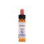 Gorse 10ml