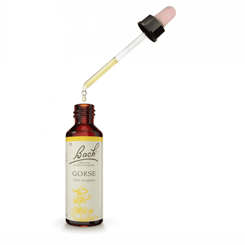 Gorse 20ml