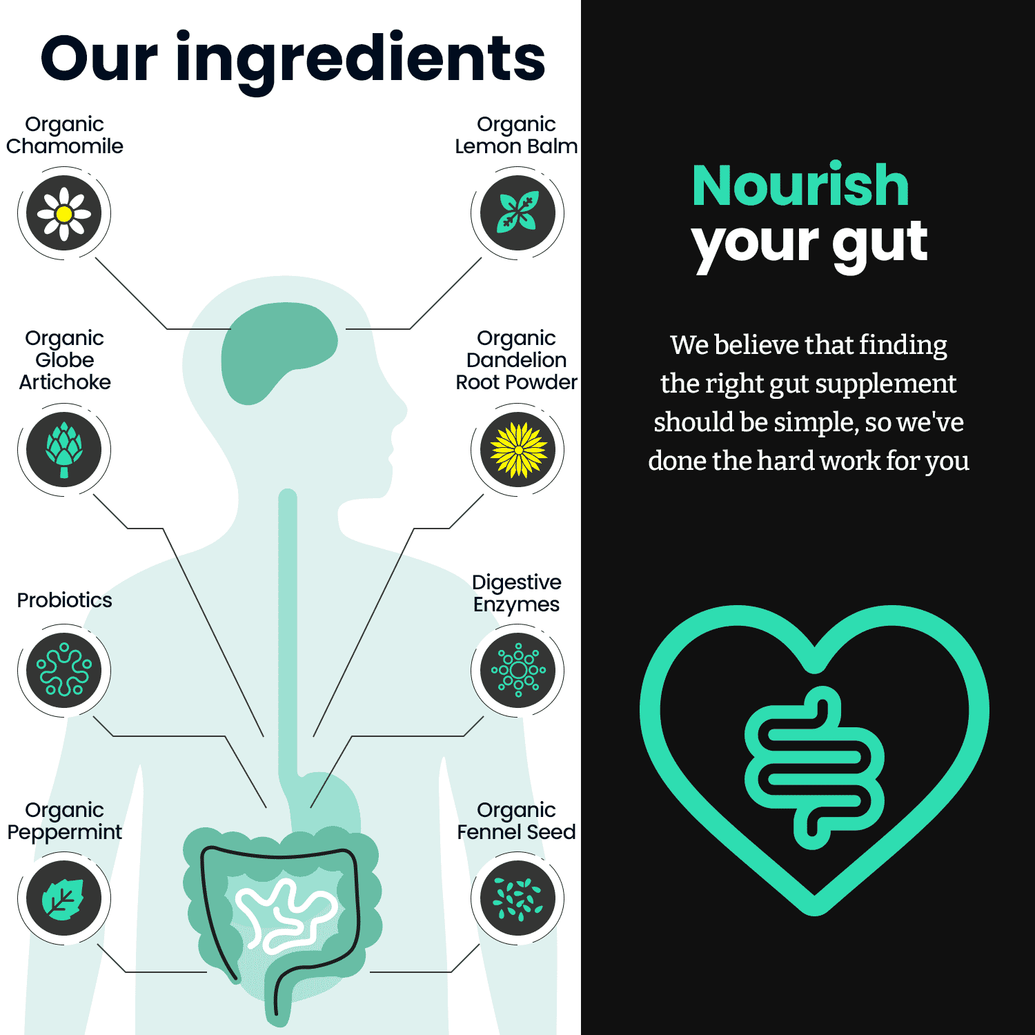 Gut 3-in-1 60s