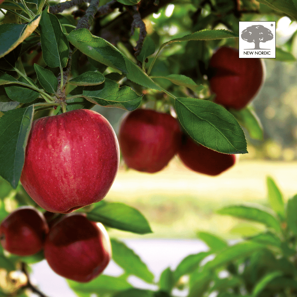 Hair Volume Gummies 60s