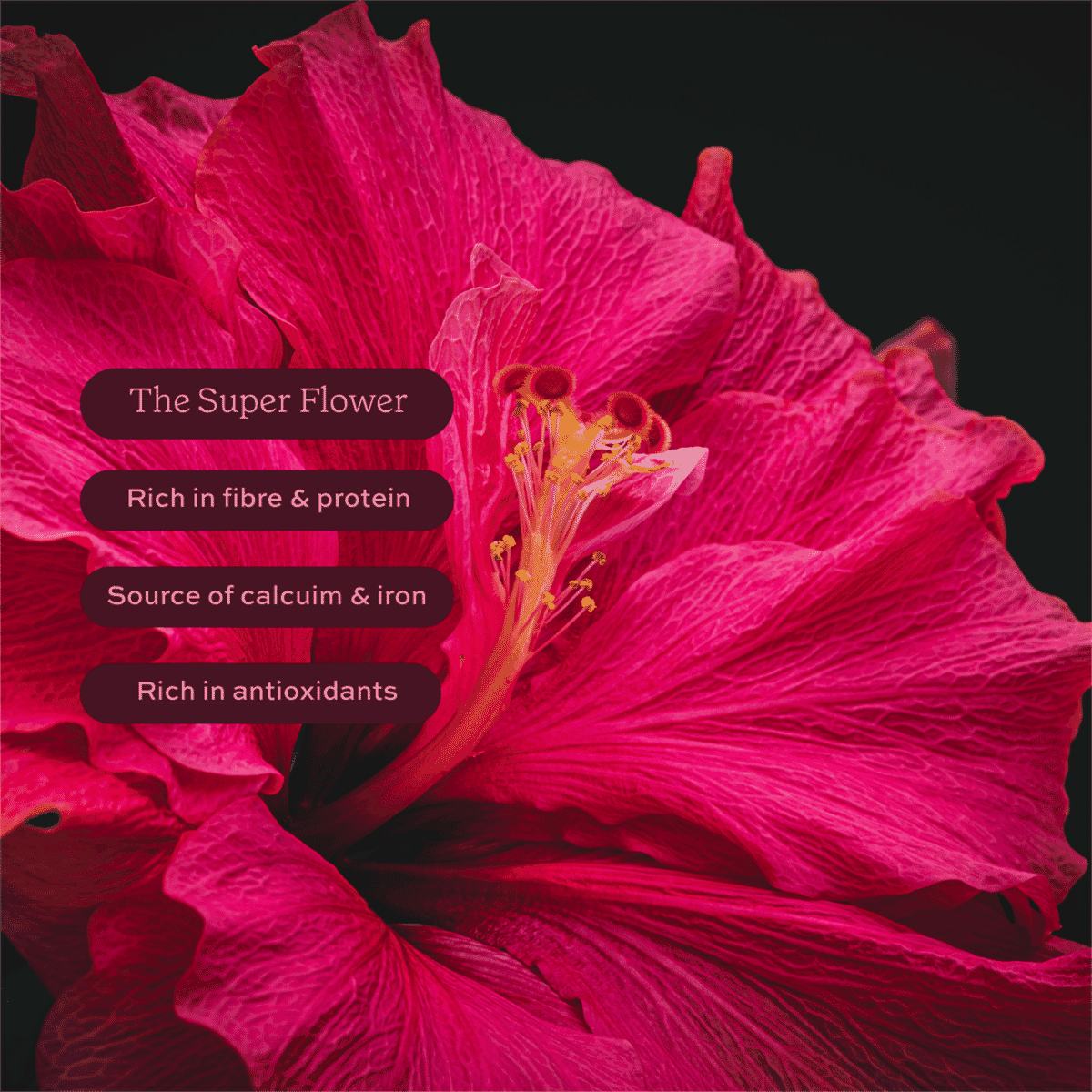 Hibiscus Superfood Powder 275g