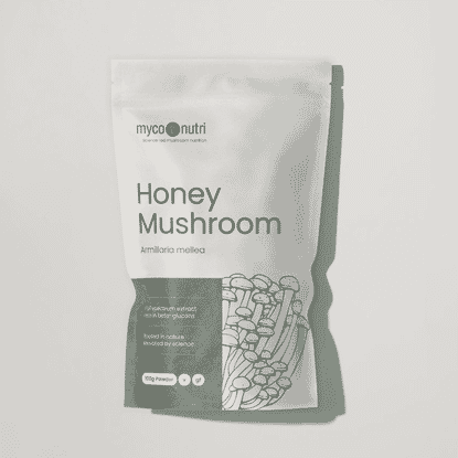 Honey Mushroom 100g Powder 