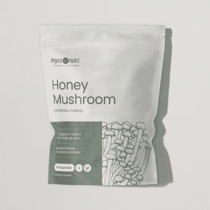 Honey Mushroom 60s