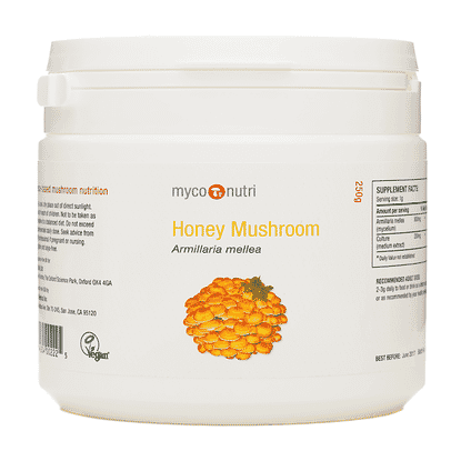 Honey Mushroom Powder 250g
