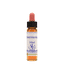 Honeysuckle 10ml