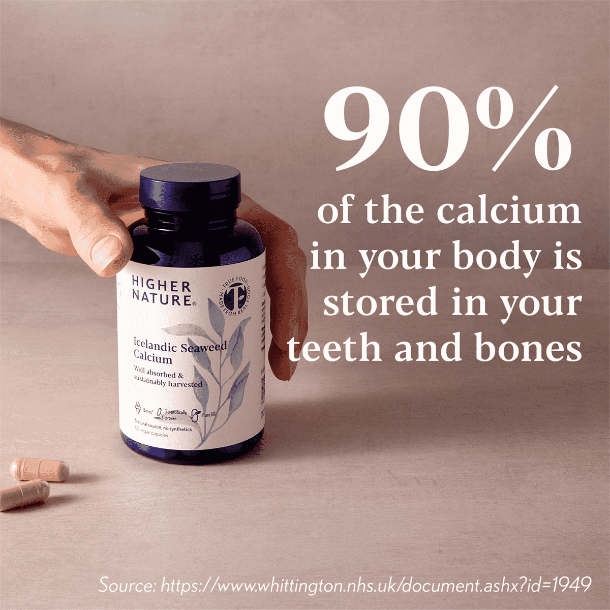 Icelandic Seaweed Calcium 60s