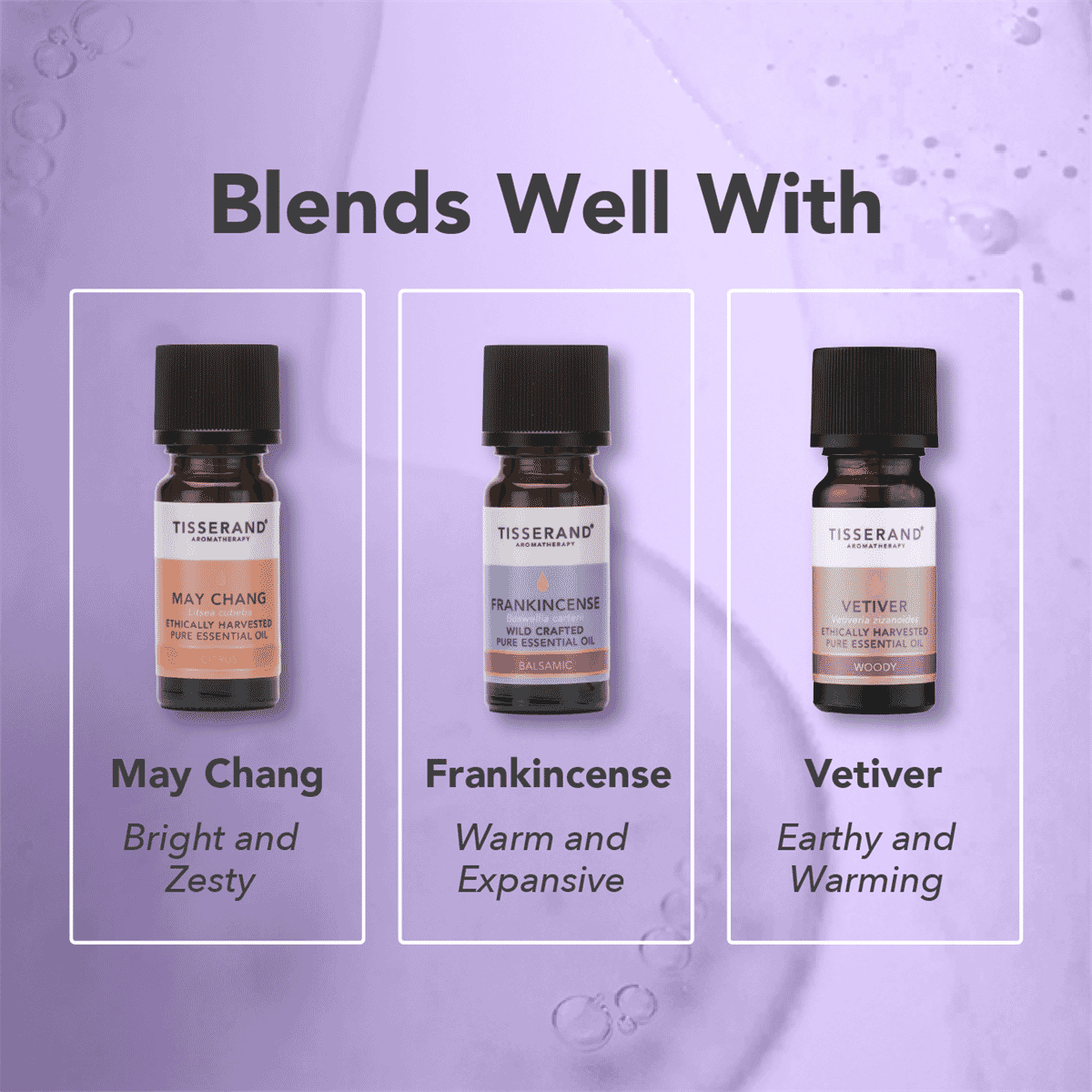 Jasmine Absolute Ethically Harvested Essential Oil 2ml
