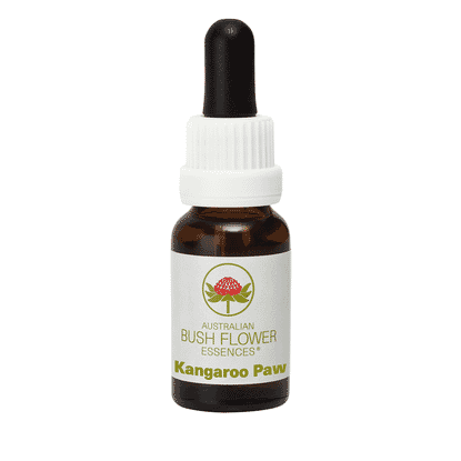 Kangaroo Paw (Stock Bottle) 15ml