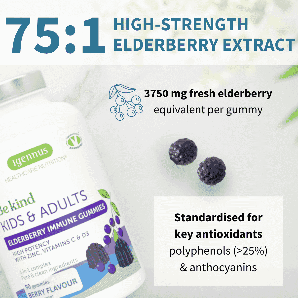 Kids & Adults Elderberry Immune Gummies 90s