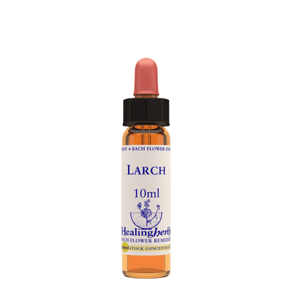 Larch 10ml