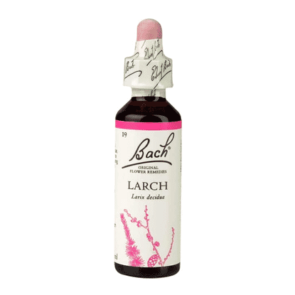 Larch 20ml