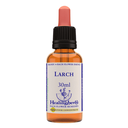 Larch 30ml