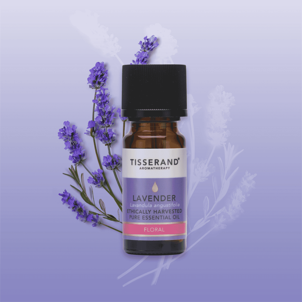 Lavender Ethically Harvested Pure Essential Oil 9ml
