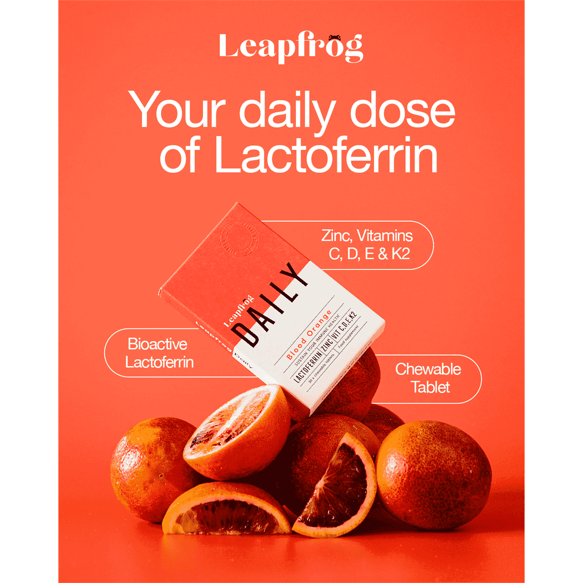 Leapfrog DAILY 15s