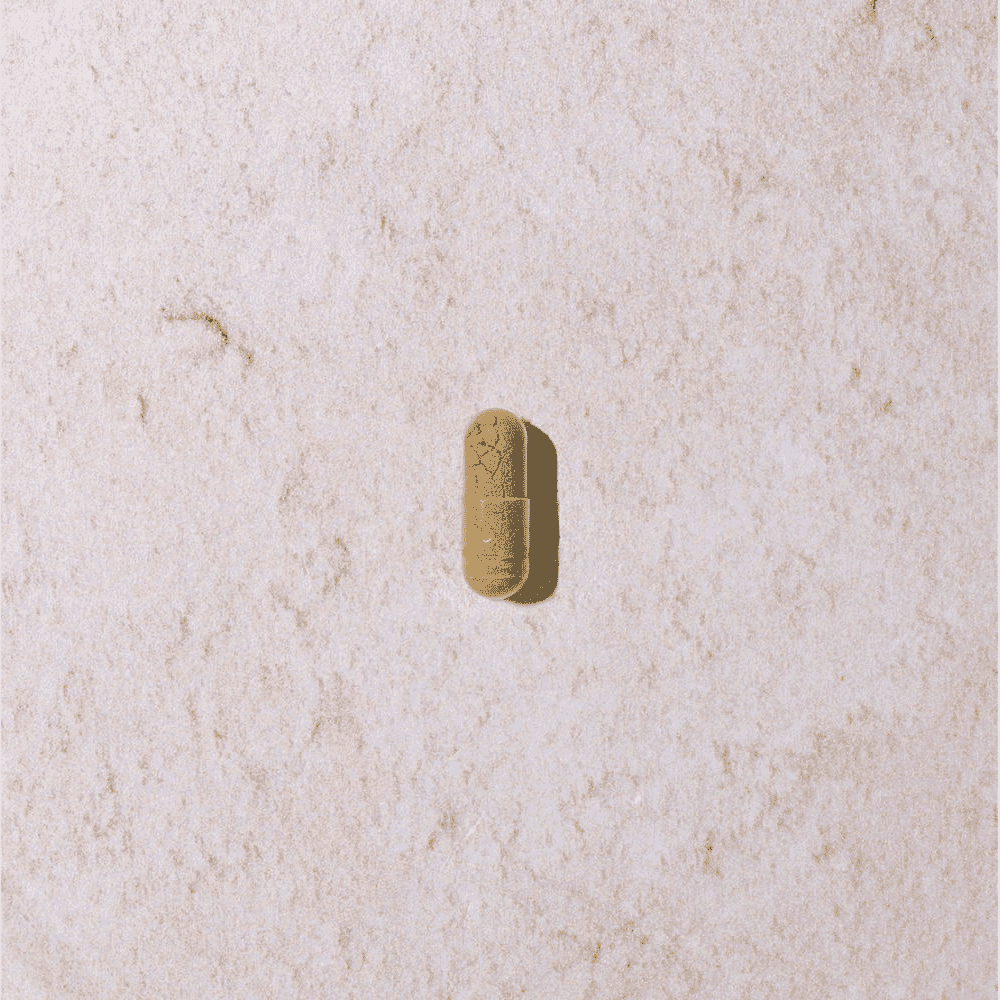 Lion's Mane & Ginkgo 30s