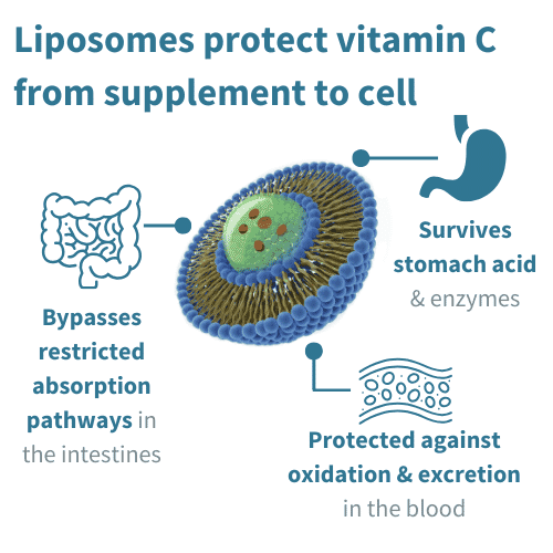 Liposomal Vitamin C 1000mg & Zinc 450ml