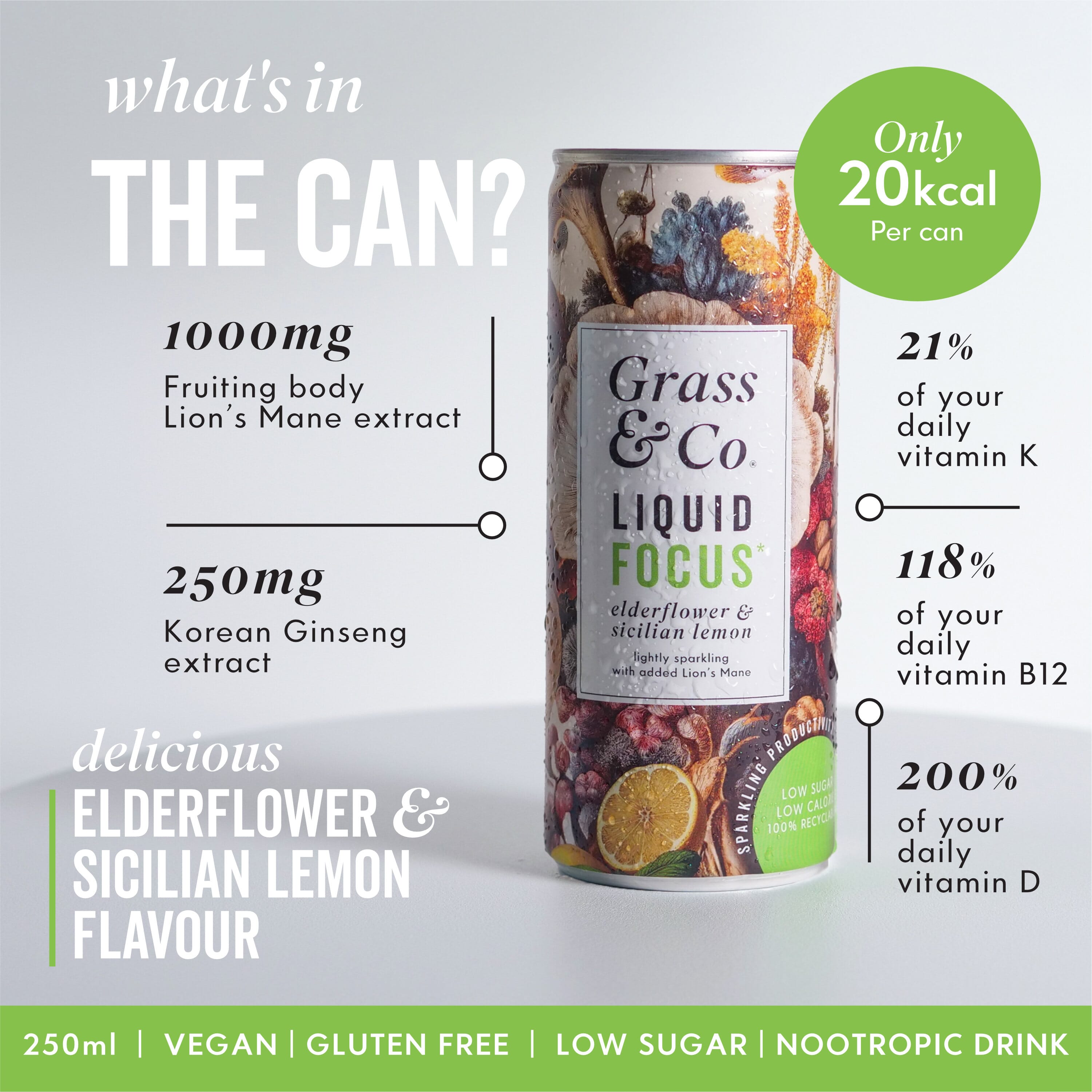 Liquid FOCUS Elderflower & Sicilian Lemon with Lion's Mane Nootropic Drink 250ml