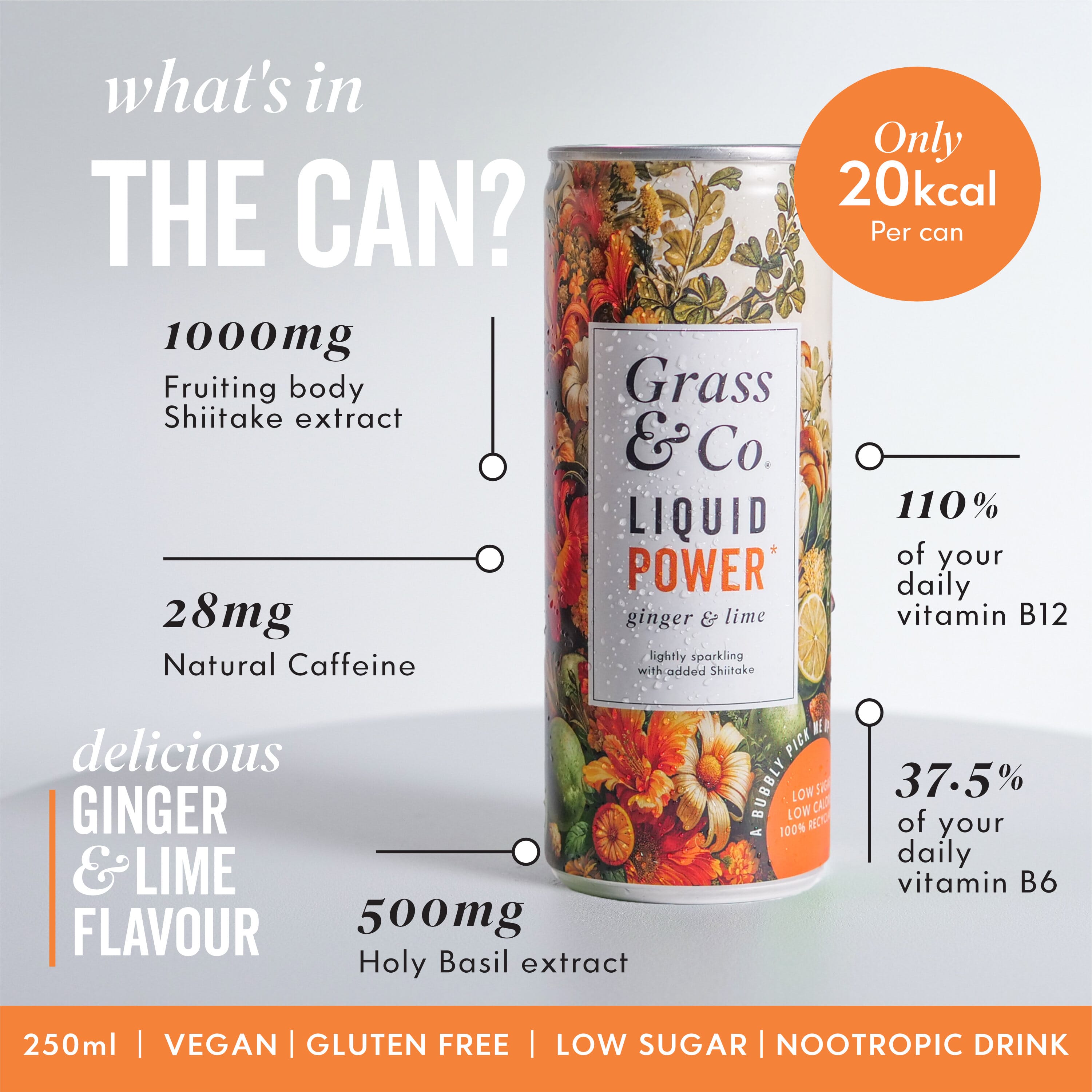 Liquid POWER Ginger & Lime with Shiitake Nootropic Drink 250ml