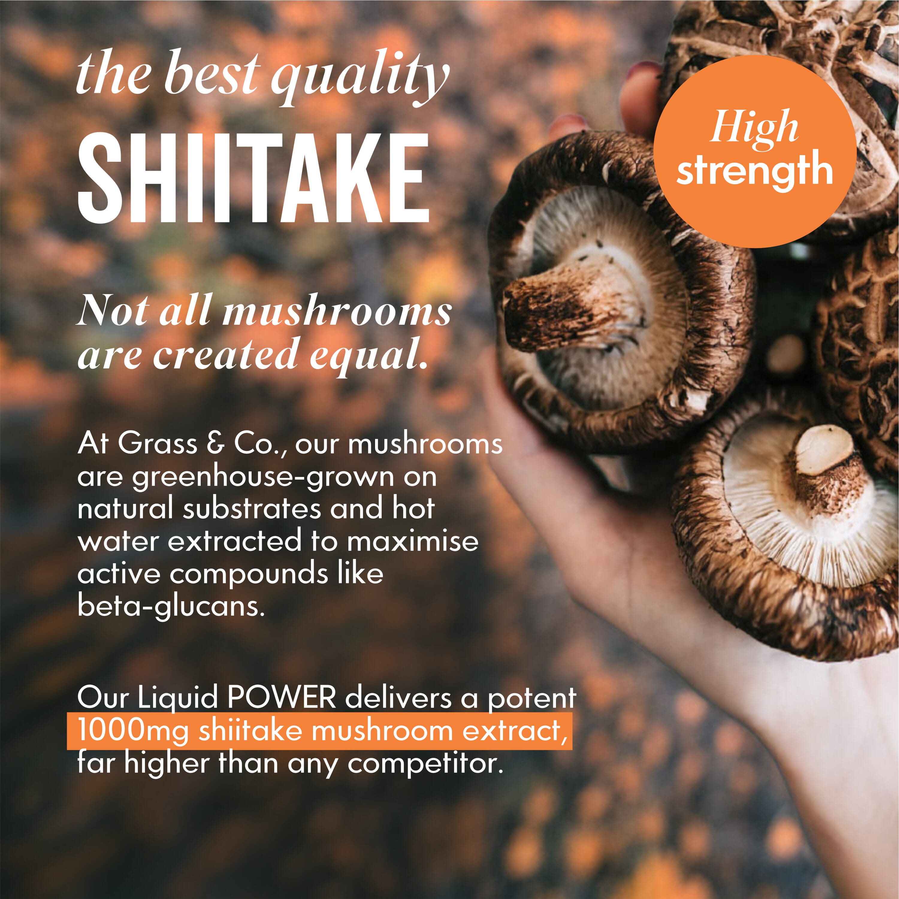 Liquid POWER Ginger & Lime with Shiitake Nootropic Drink 250ml